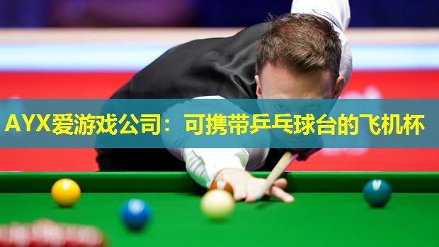 AYX爱游戏公司：可携带乒乓球台的飞机杯