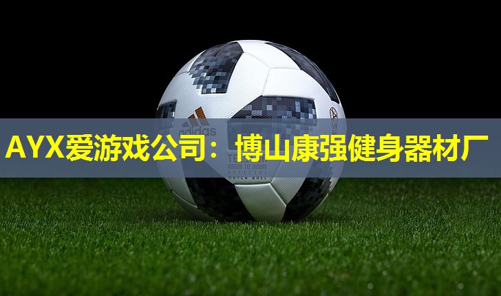 AYX爱游戏公司：博山康强健身器材厂