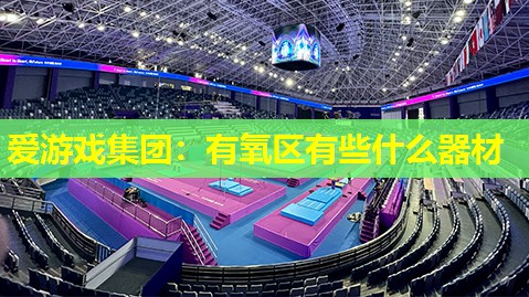 爱游戏集团：有氧区有些什么器材