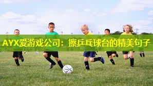 AYX爱游戏公司：擦乒乓球台的精美句子