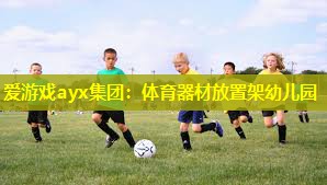 爱游戏ayx集团：体育器材放置架幼儿园
