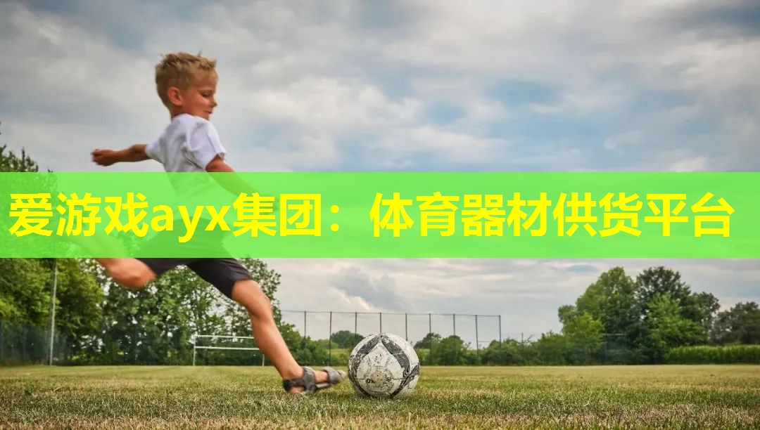 爱游戏ayx集团：体育器材供货平台