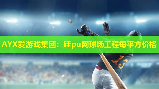 AYX爱游戏集团：硅pu网球场工程每平方价格