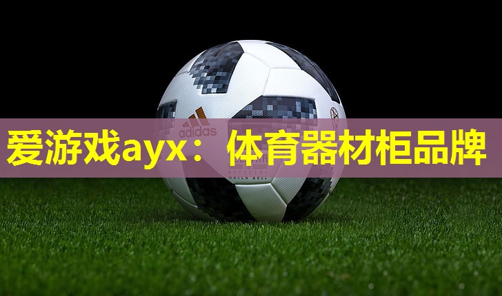 爱游戏ayx：体育器材柜品牌