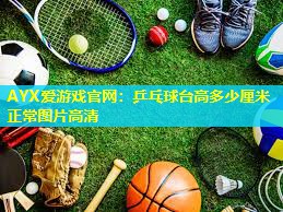 AYX爱游戏官网：乒乓球台高多少厘米正常图片高清