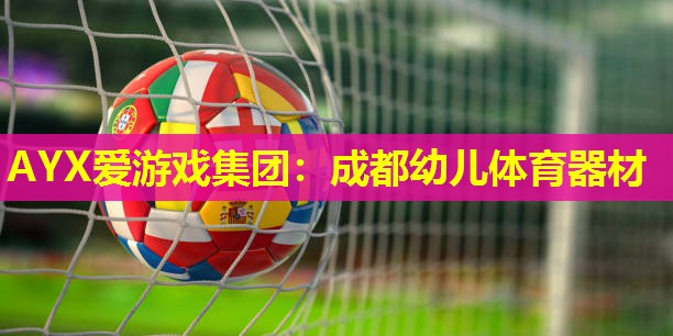 AYX爱游戏集团：成都幼儿体育器材