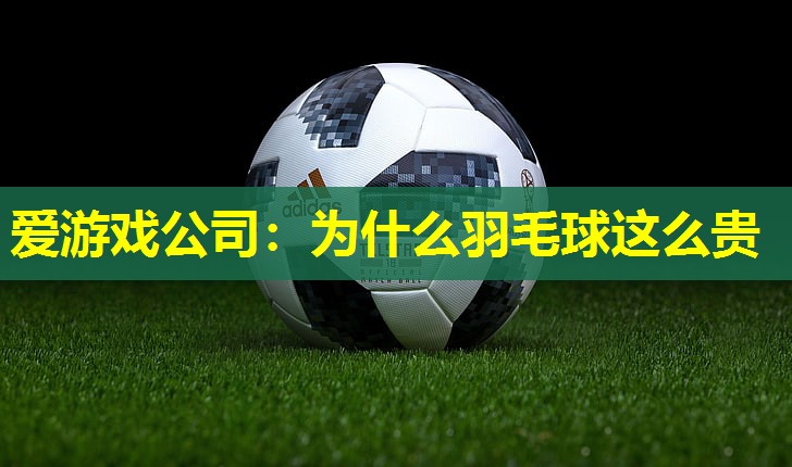 爱游戏公司：为什么羽毛球这么贵