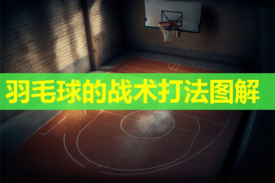 羽毛球的战术打法图解