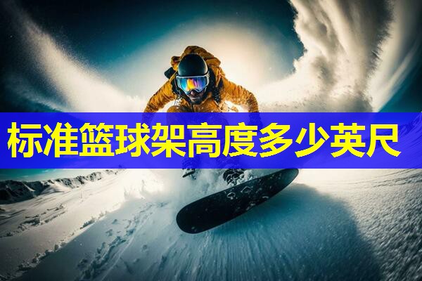 标准篮球架高度多少英尺