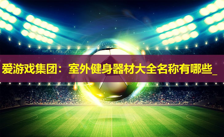 爱游戏集团：室外健身器材大全名称有哪些_
