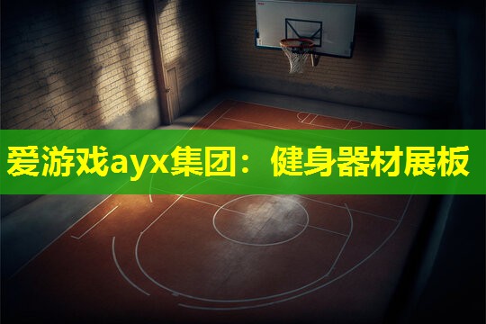 爱游戏ayx集团：健身器材展板