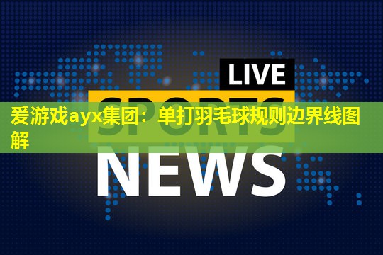 爱游戏ayx集团：单打羽毛球规则边界线图解