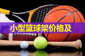 小型篮球架价格及