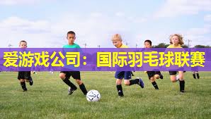 爱游戏公司：国际羽毛球联赛