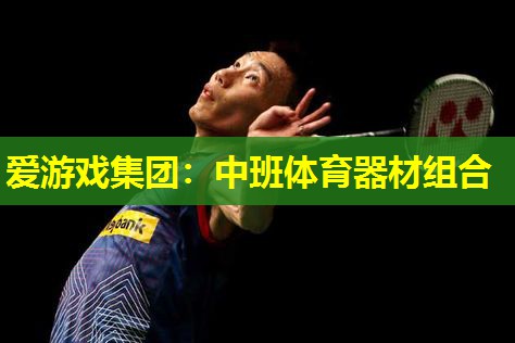 爱游戏集团：中班体育器材组合