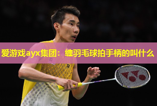 爱游戏ayx集团：缠羽毛球拍手柄的叫什么