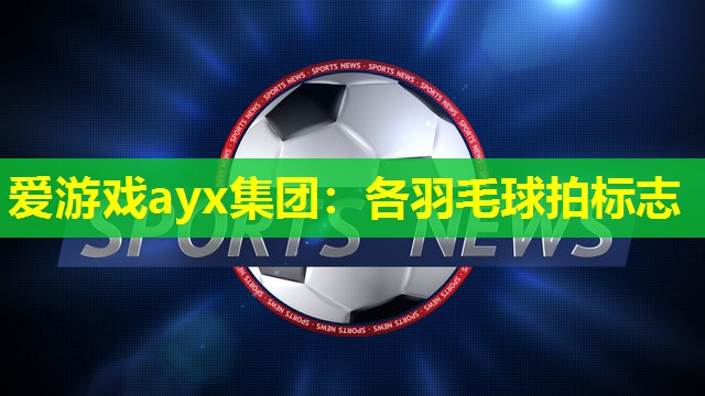 爱游戏ayx集团：各羽毛球拍标志