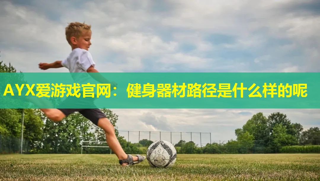 AYX爱游戏官网：健身器材路径是什么样的呢