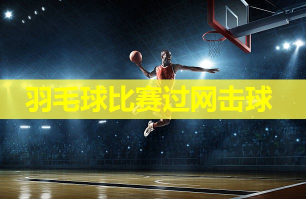 羽毛球比赛过网击球