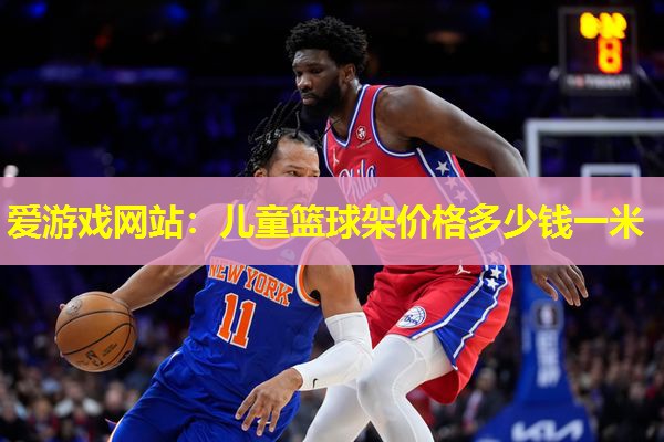 爱游戏网站：儿童篮球架价格多少钱一米