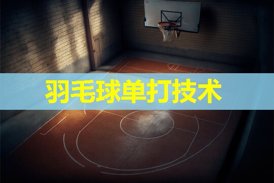 羽毛球单打技术