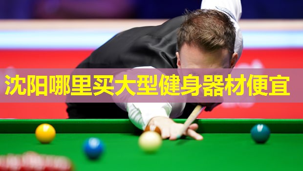 沈阳哪里买大型健身器材便宜
