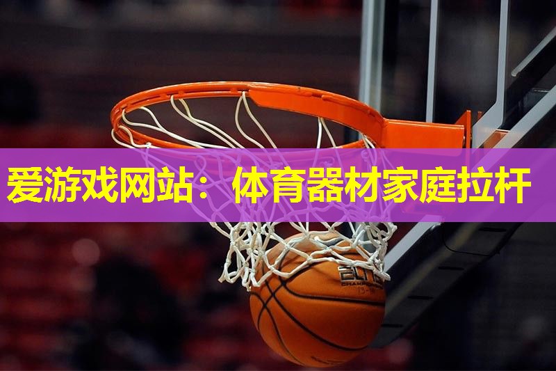 爱游戏网站：体育器材家庭拉杆