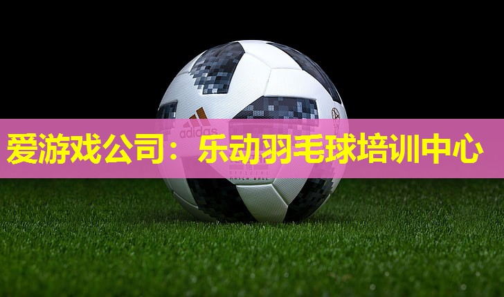爱游戏公司：乐动羽毛球培训中心