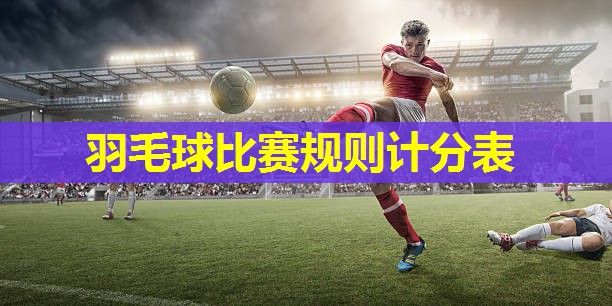 羽毛球比赛规则计分表