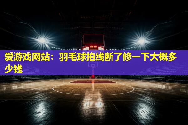 爱游戏网站：羽毛球拍线断了修一下大概多少钱