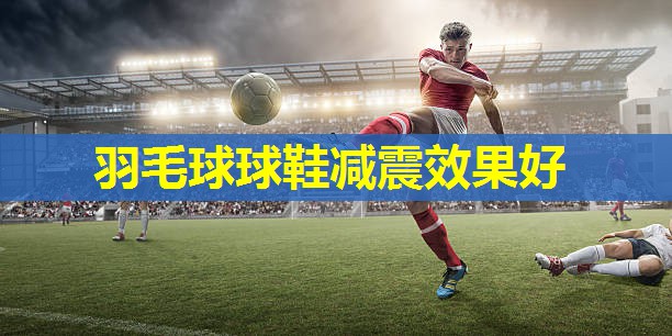 羽毛球球鞋减震效果好