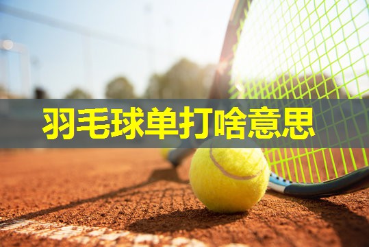 羽毛球单打啥意思
