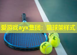 爱游戏ayx集团：篮球架样式