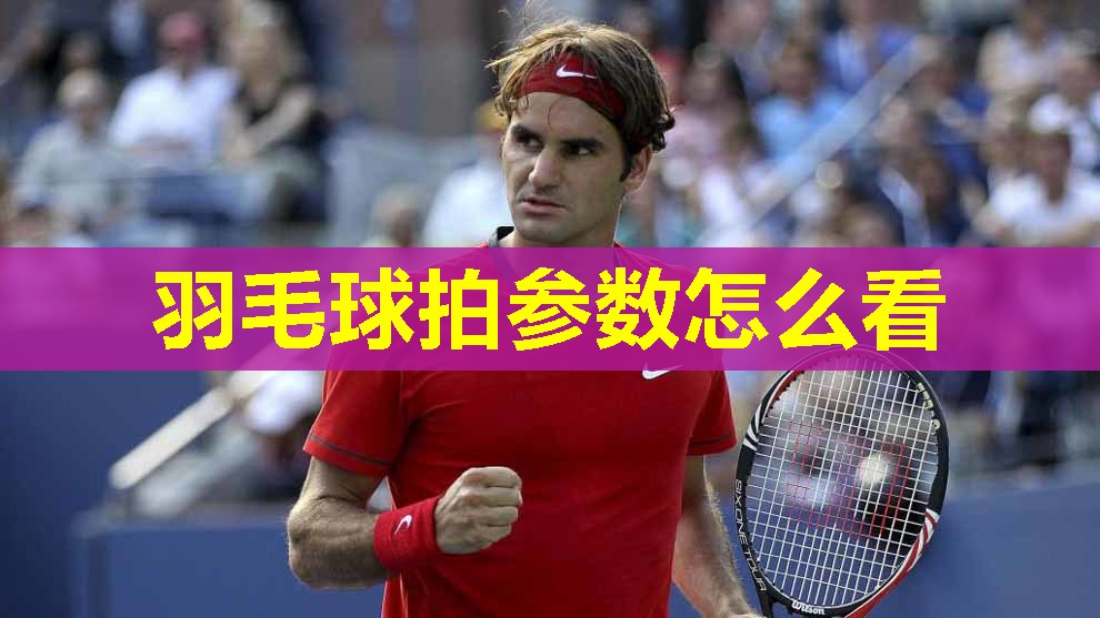 羽毛球拍参数怎么看