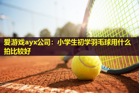 爱游戏ayx公司：小学生初学羽毛球用什么拍比较好