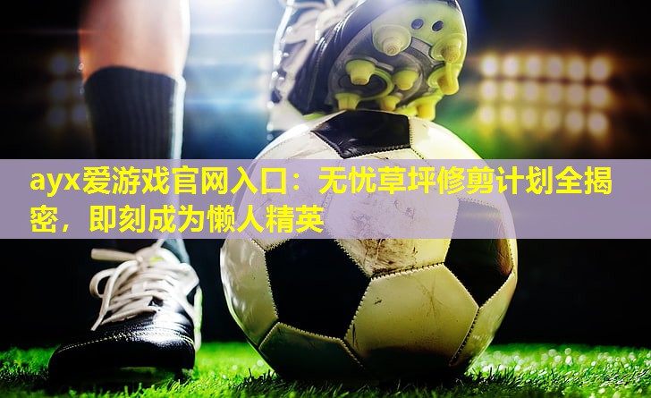 ayx爱游戏官网入口：无忧草坪修剪计划全揭密，即刻成为懒人精英