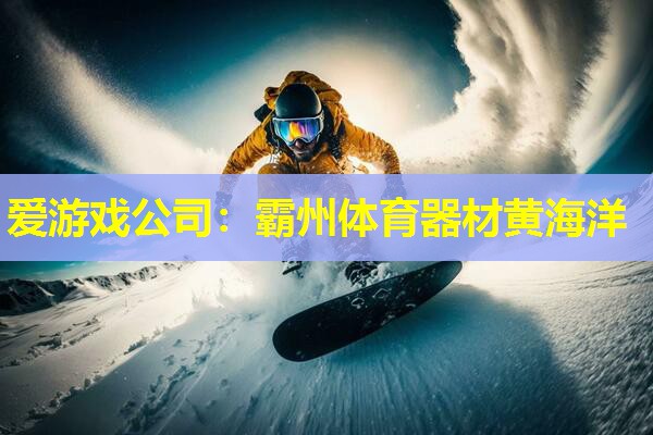 爱游戏公司：霸州体育器材黄海洋