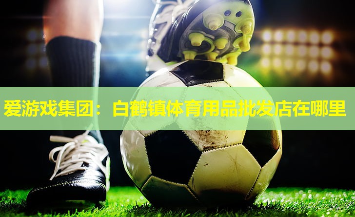 爱游戏集团：白鹤镇体育用品批发店在哪里