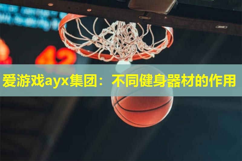 爱游戏ayx集团：不同健身器材的作用