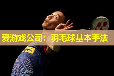 爱游戏公司：羽毛球基本手法