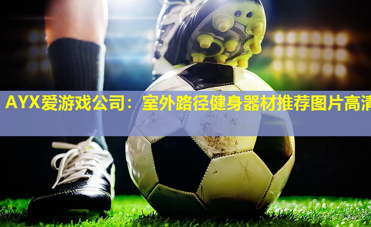 AYX爱游戏公司：室外路径健身器材推荐图片高清