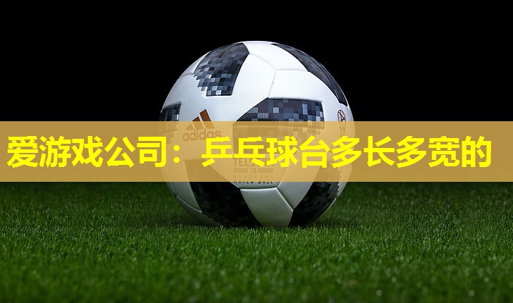 爱游戏公司：乒乓球台多长多宽的
