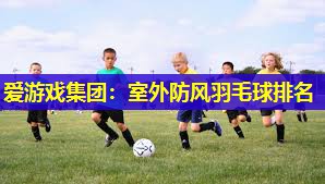 爱游戏集团：室外防风羽毛球排名