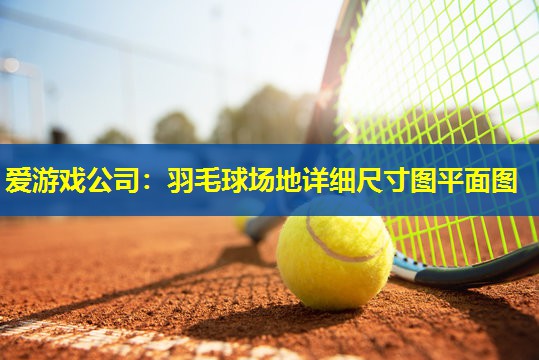 爱游戏公司：羽毛球场地详细尺寸图平面图