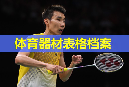 体育器材表格档案