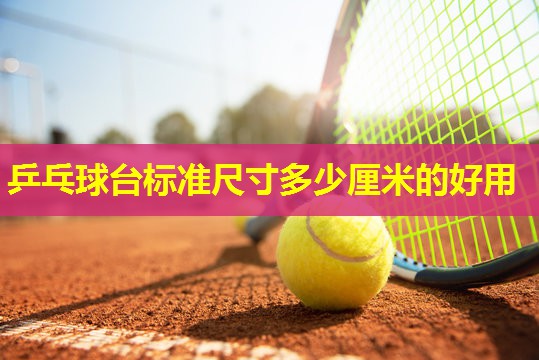 乒乓球台标准尺寸多少厘米的好用