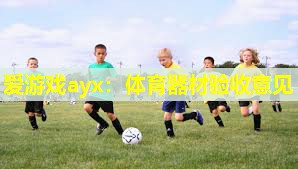爱游戏ayx：体育器材验收意见