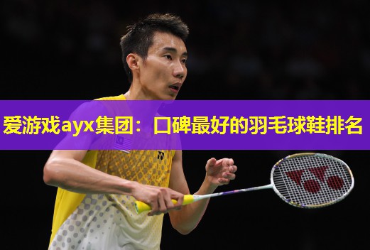 爱游戏ayx集团：口碑最好的羽毛球鞋排名