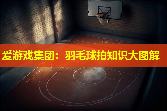 爱游戏集团：羽毛球拍知识大图解