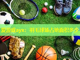 爱游戏ayx：羽毛球场占地面积多少